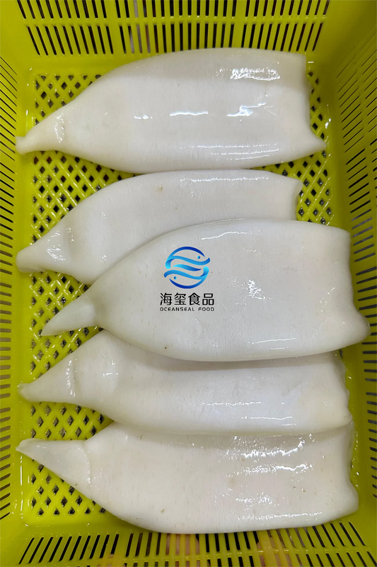 FROZEN SQUID TUBE