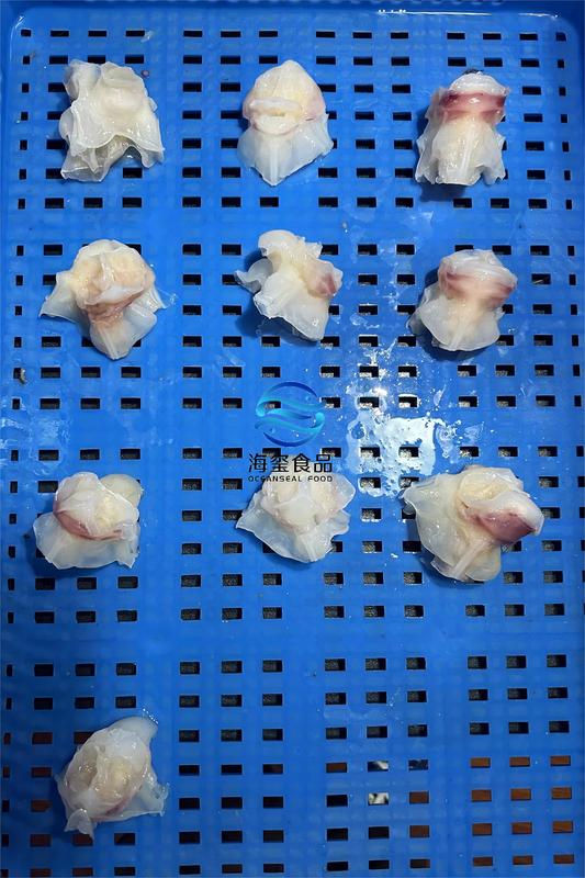FROZEN SQUID NECK