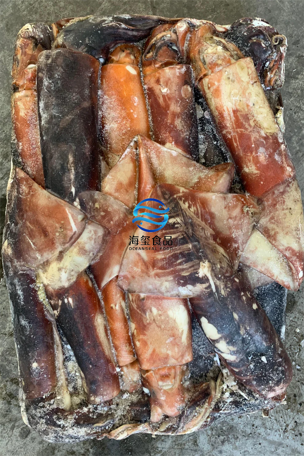 FROZEN GIANT SQUID WR – OCEANSEAL FOOD