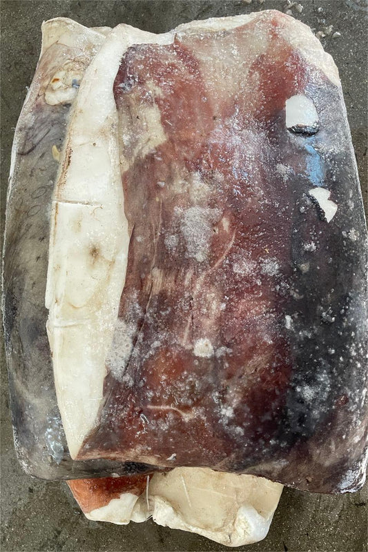 FROZEN GIANT SQUID FILLET - OCEANSEAL FOOD