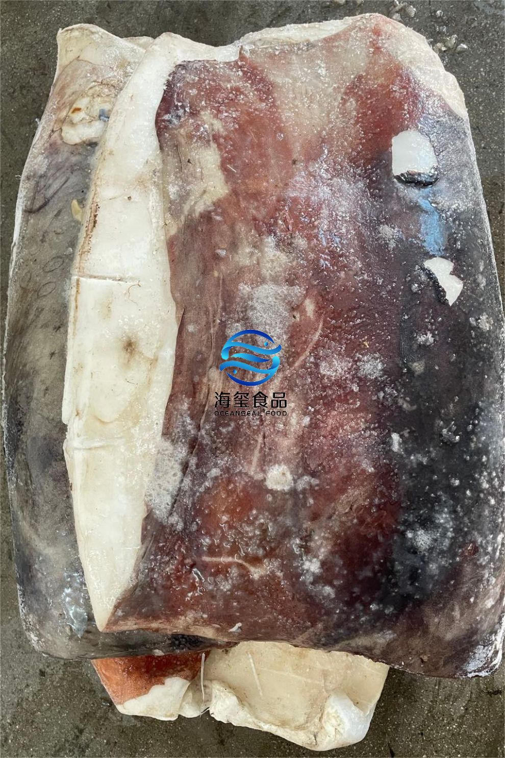 FROZEN GIANT SQUID FILLET