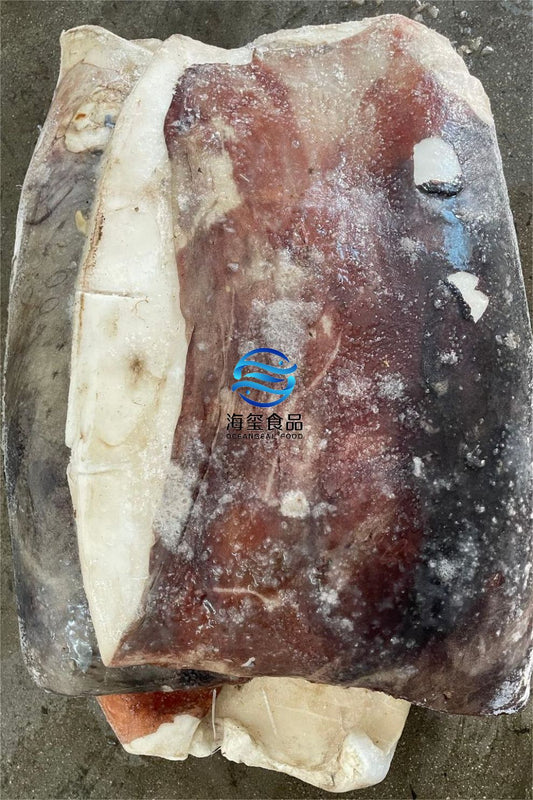 FROZEN GIANT SQUID FILLET