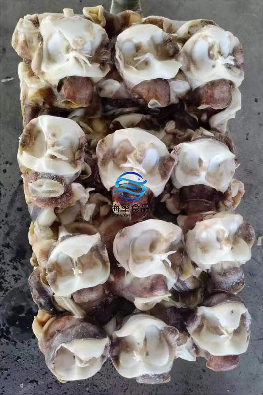 FROZEN INDIAN SQUID NECK