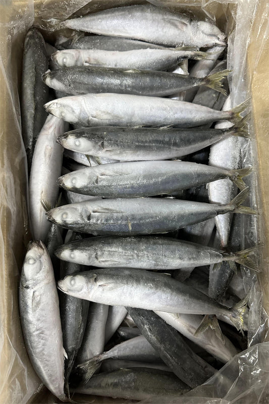 FROZEN LAYANG SCAD - OCEANSEAL FOOD