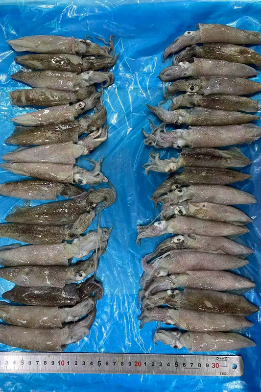 FROZEN BABY SQUID - OCEANSEAL FOOD