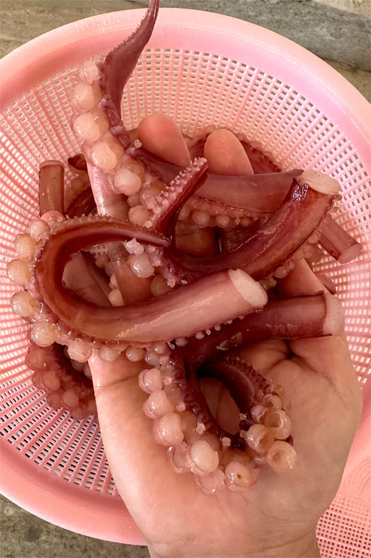 FROZEN SQUID TENTACLE TIP - OCEANSEAL FOOD