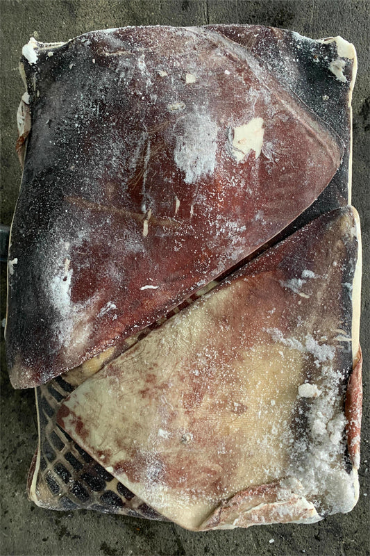 FROZEN GIANT SQUID WING - OCEANSEAL FOOD