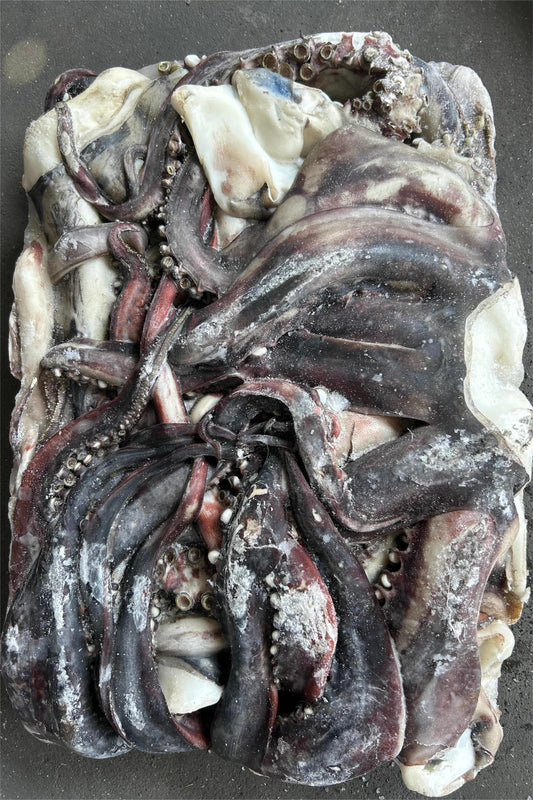 FROZEN GIANT SQUID TENTACLE - OCEANSEAL FOOD