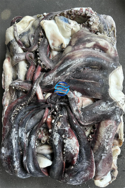 FROZEN GIANT SQUID TENTACLE