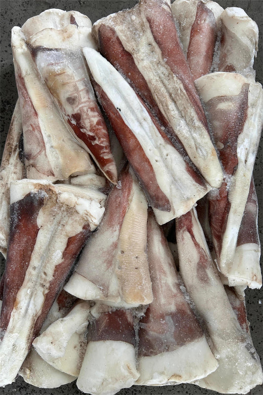 FROZEN GIANT SQUID TIP - OCEANSEAL FOOD