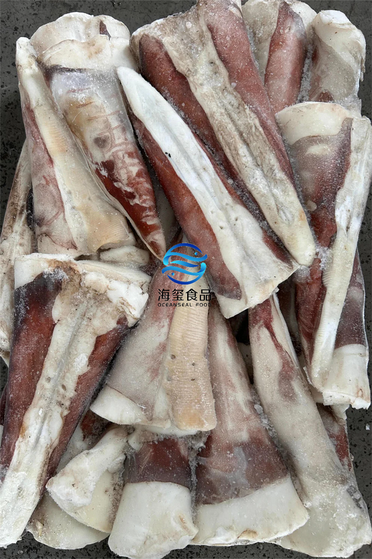 FROZEN GIANT SQUID TIP