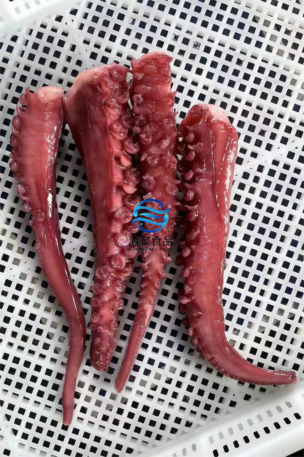 FROZEN SQUID TENTACLE