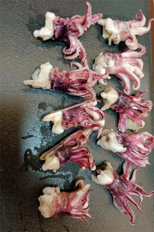 FROZEN BABY SQUID TENTACLE - OCEANSEAL FOOD
