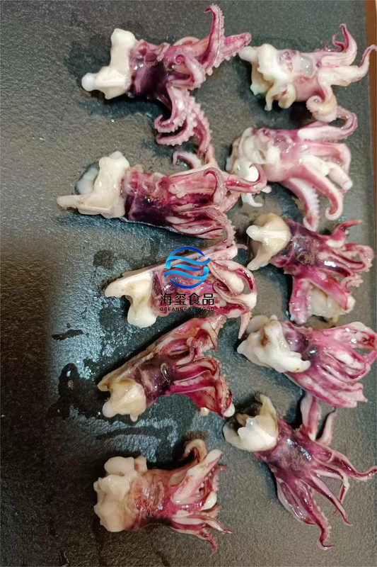 FROZEN BABY SQUID TENTACLE