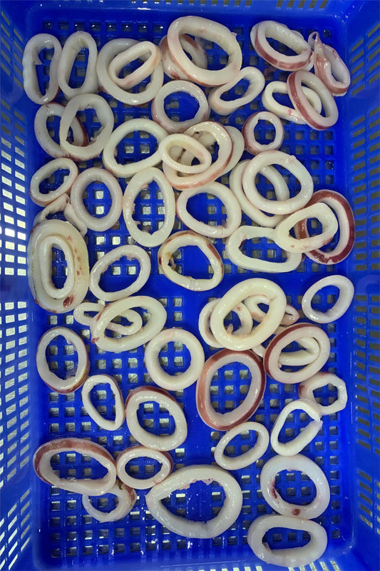 FROZEN SQUID RING SKIN ON - OCEANSEAL FOOD