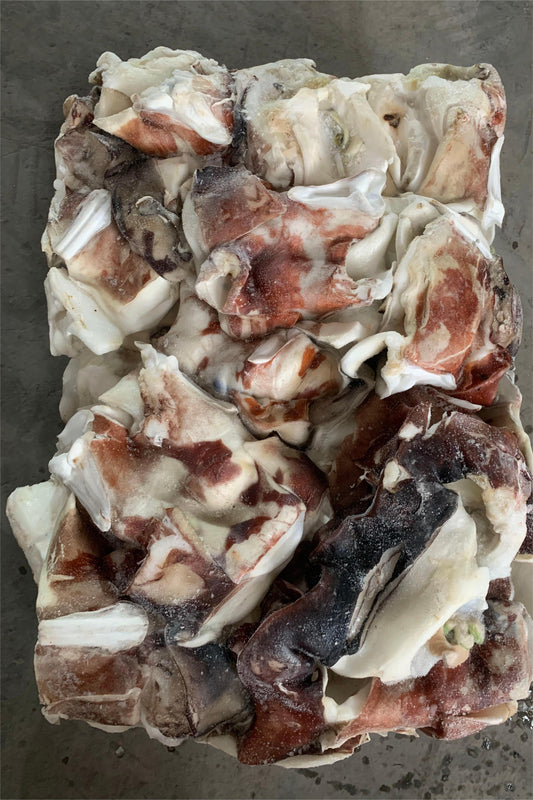 FROZEN GIANT SQUID NECK - OCEANSEAL FOOD