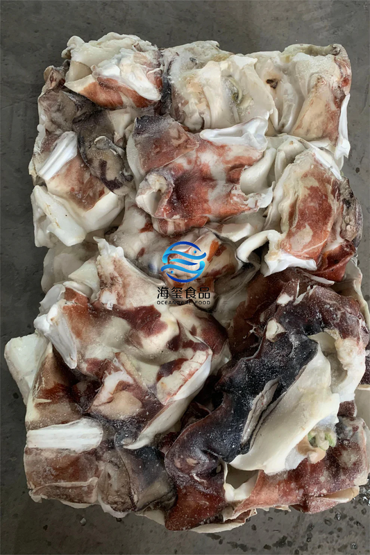 FROZEN GIANT SQUID NECK