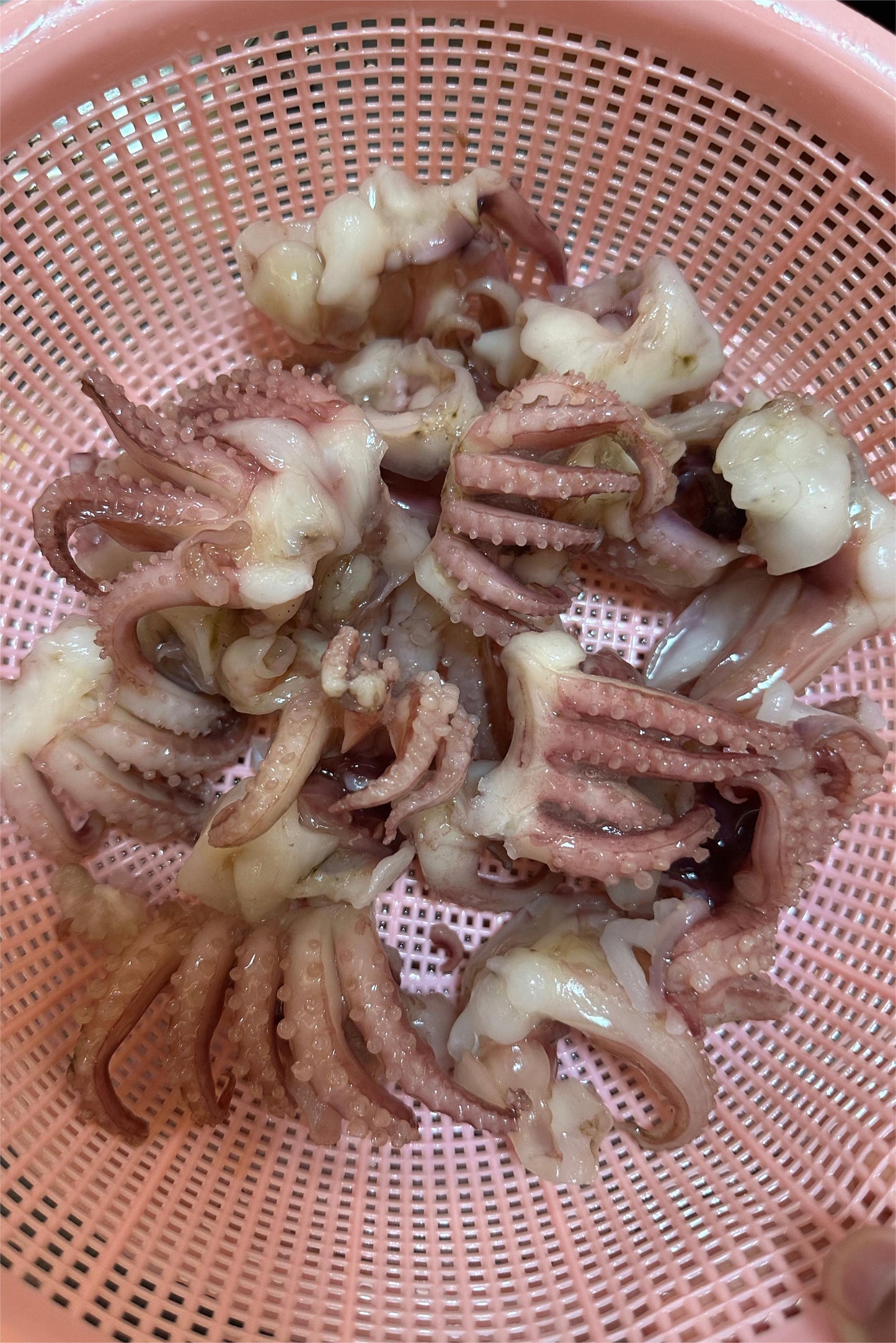 FROZEN BABY SQUID TENTACLE - OCEANSEAL FOOD