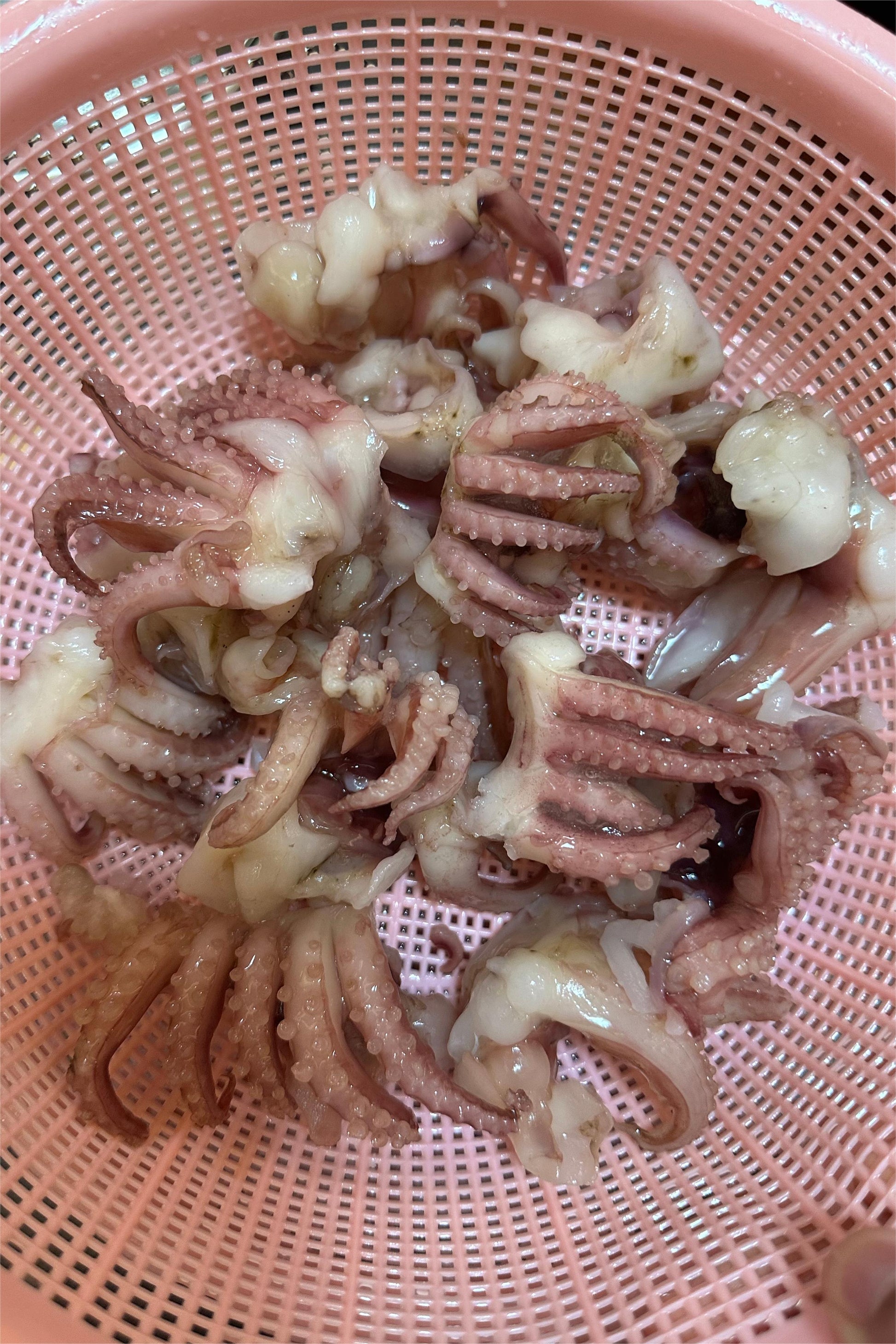 FROZEN BABY SQUID TENTACLE - OCEANSEAL FOOD