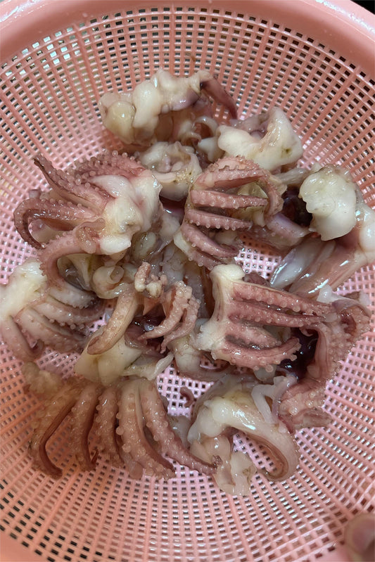 FROZEN BABY SQUID TENTACLE - OCEANSEAL FOOD