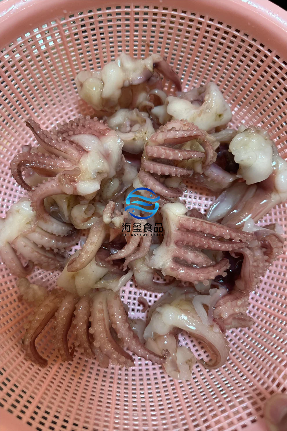 FROZEN BABY SQUID TENTACLE