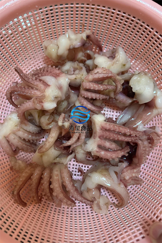 FROZEN BABY SQUID TENTACLE