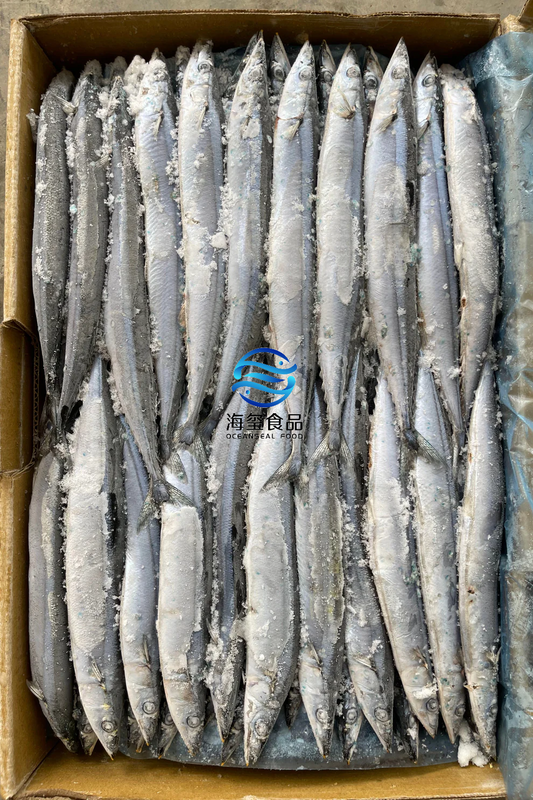 FROZEN PACIFIC SAURY